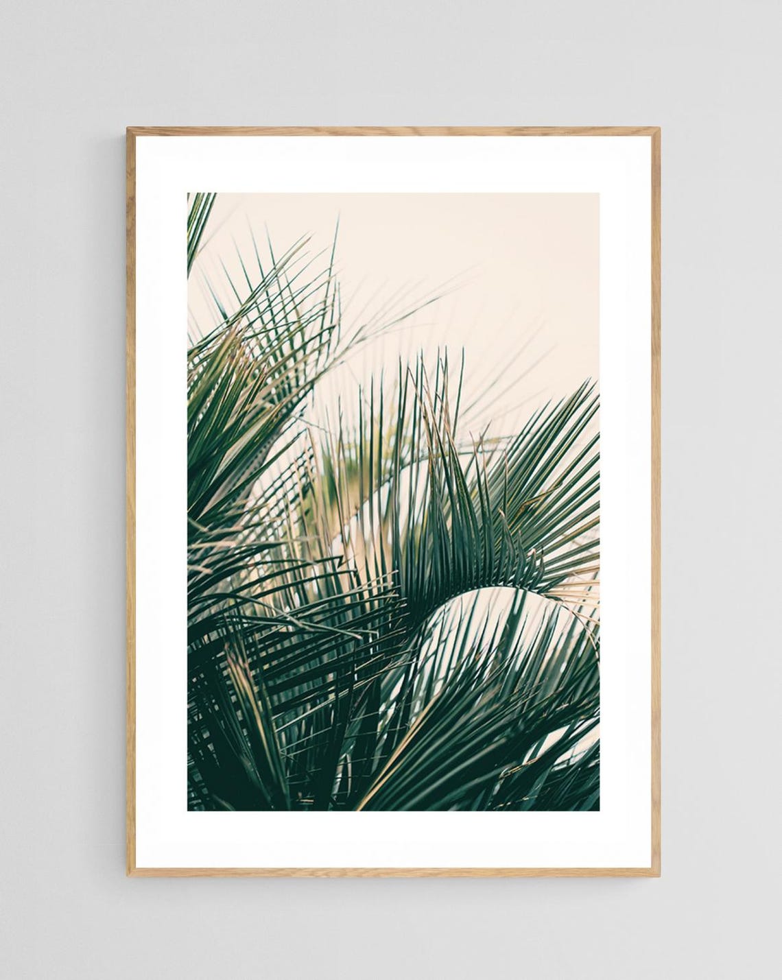 Palm Tree Print, Southern Lines Tropical Photograph