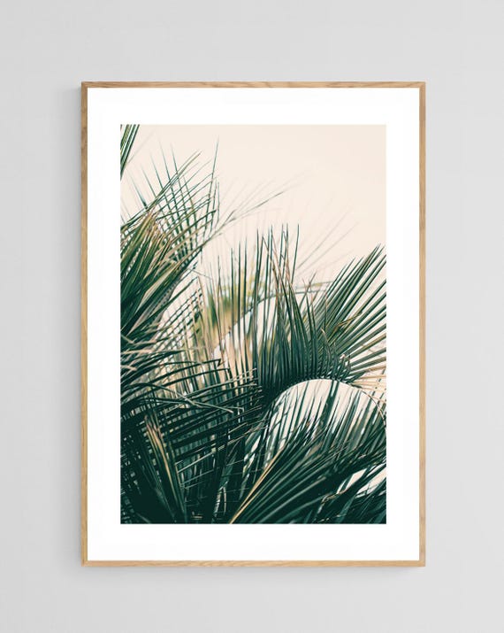 Palm Tree Print, Southern Lines Tropical Photograph