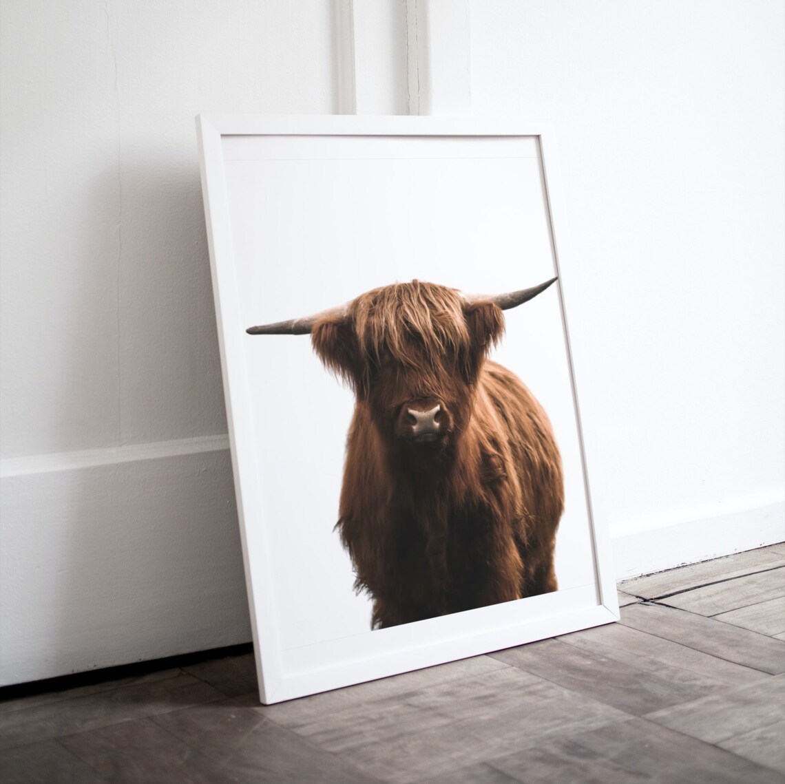 Highland Cow Poster Shaggy Brown Cow Portrait On Clean White - Image 4