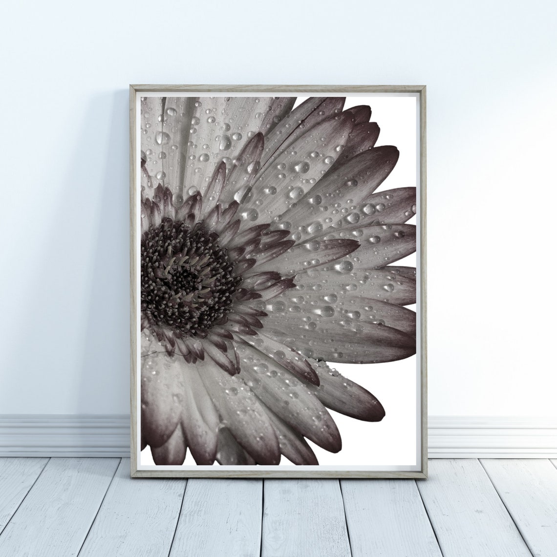 Daisy Close Up Poster Raindrops On Petals Black And White Art