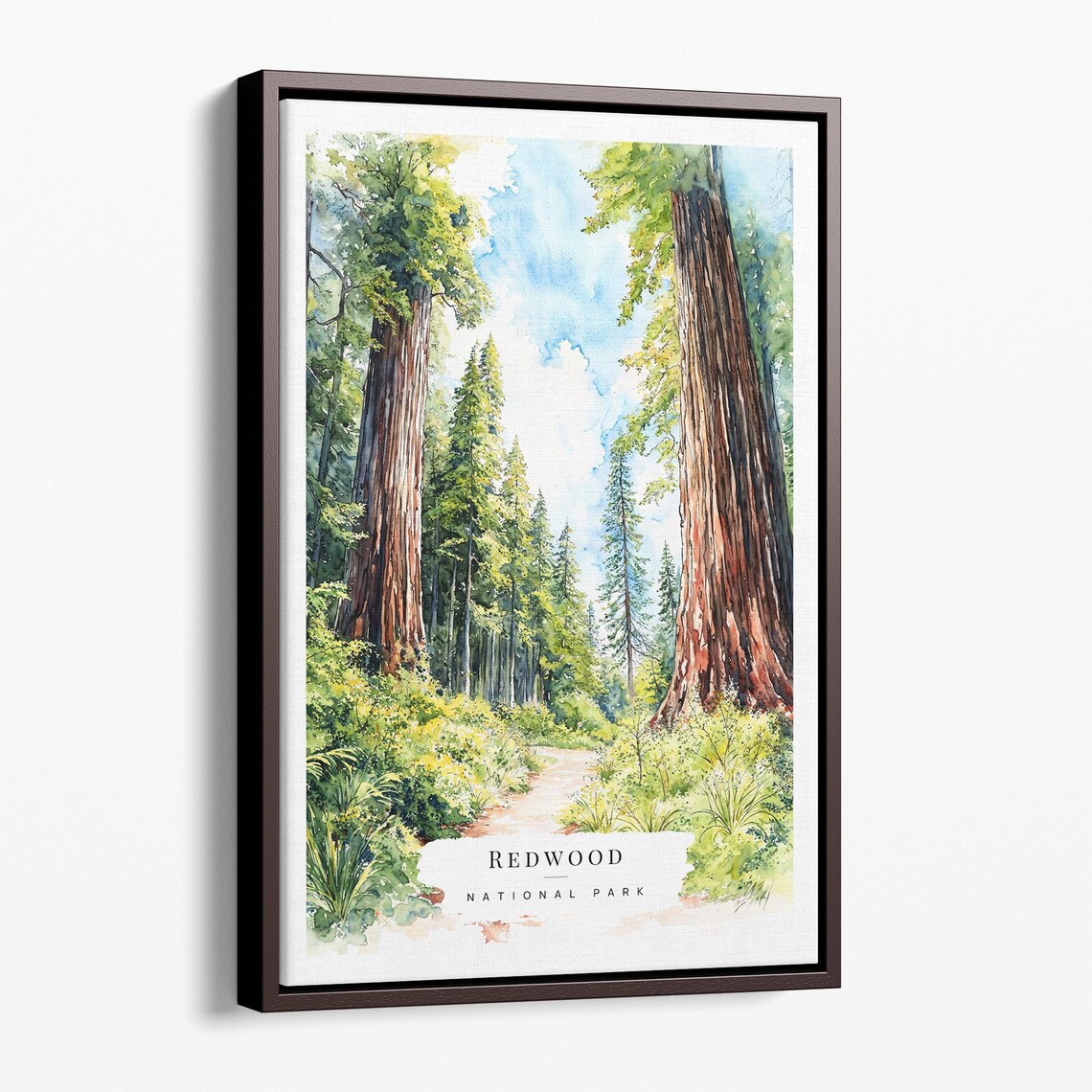 Redwood National Park Towering Trees Watercolor Travel Art Poster