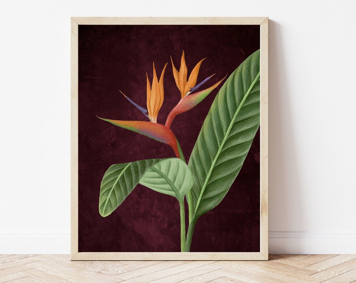 Dramatic Bird Of Paradise Botanical Burgundy Vintage Wall Art