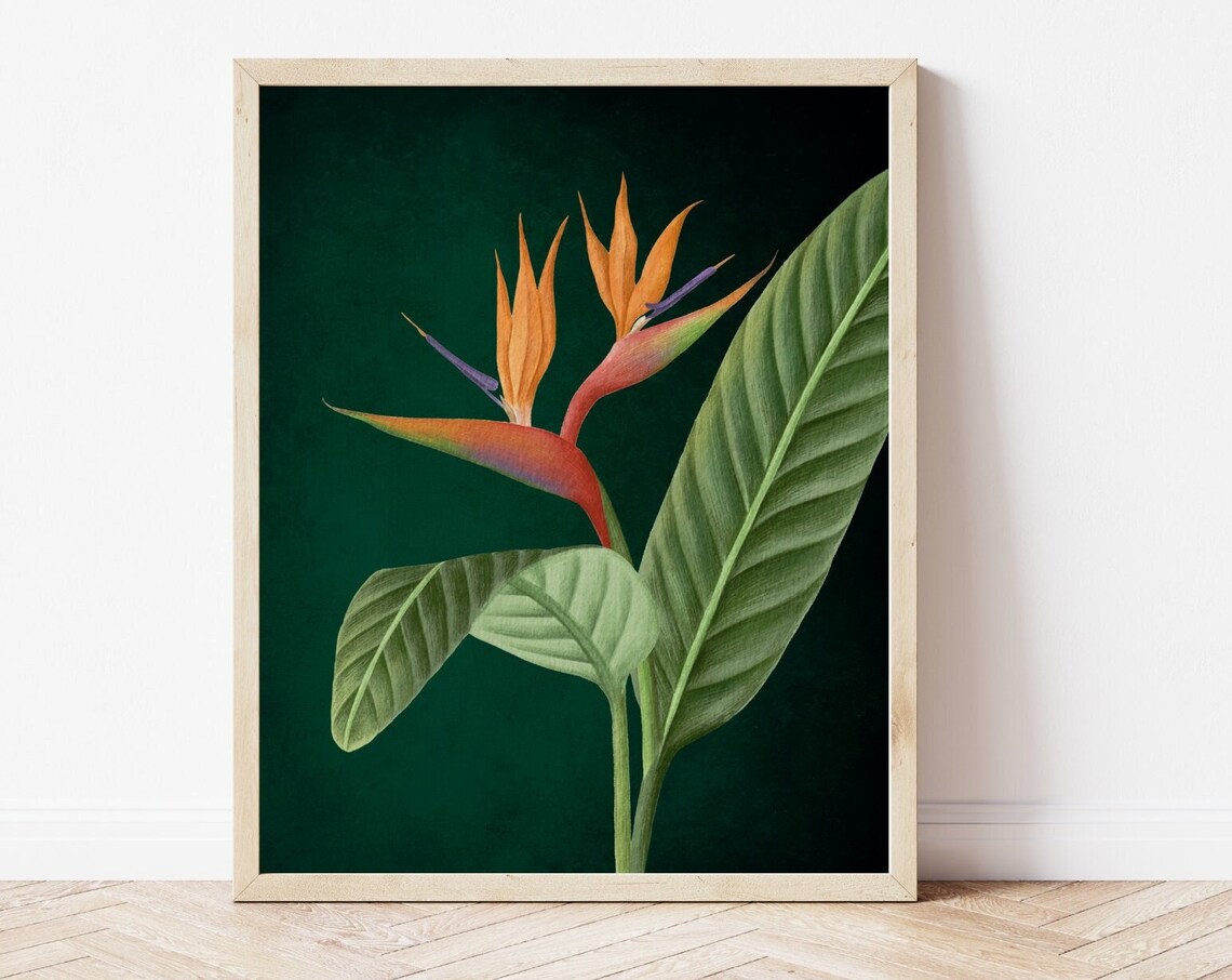 Emerald Green Bird Of Paradise Tropical Botanical Art Print