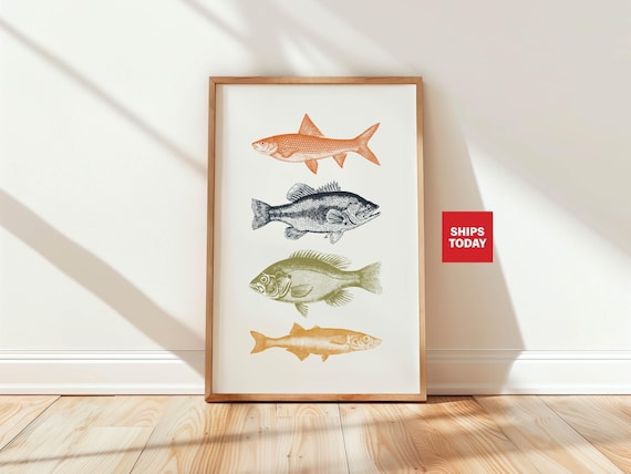 Colorful Fish Species Vintage Illustration Retro Kitchen Poster