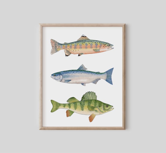 Watercolor Fish Art Colorful Painting Home Decor Gift Fisherman Coho Salmon Golden Trout Yellow Perch Baby Boy Nursery 11x14