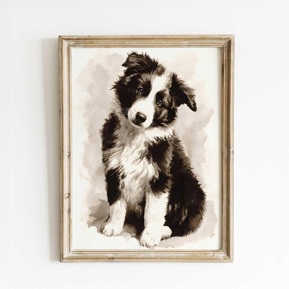 Border Collie Puppy Print Black White Dog Watercolor Art Pet Portrait Wall Decor Cute Farmhouse Animal Illustration