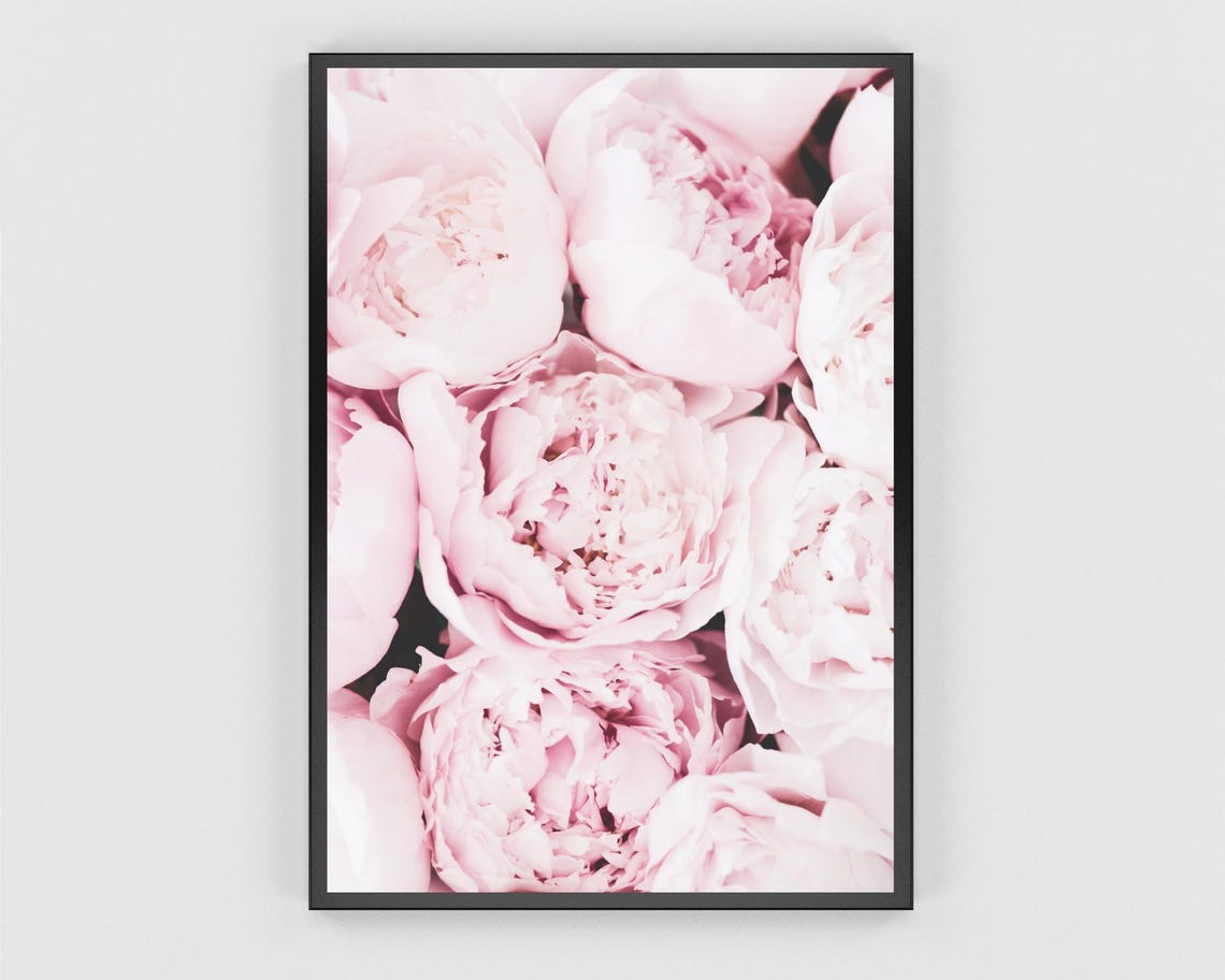 Soft Pink Peonies Close Up Botanical Photograph Wall Decor Poster - Image 3