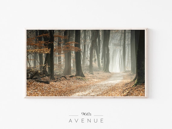 Misty Autumn Forest Path Golden Leaves Fall Photography Poster