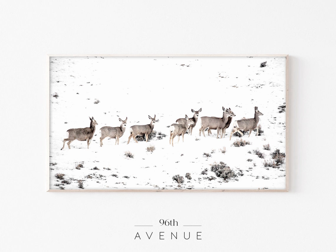Deer Herd In Snowy Field Winter Wildlife Nature Scene Poster