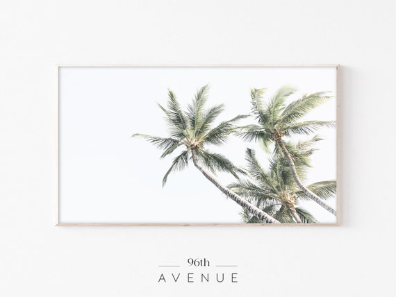 Frame Tv Art Palm Trees Tv Art Frame Art Tv Palms Art Tv Art Frame Art For Tv Palm Trees Photography Tv Art