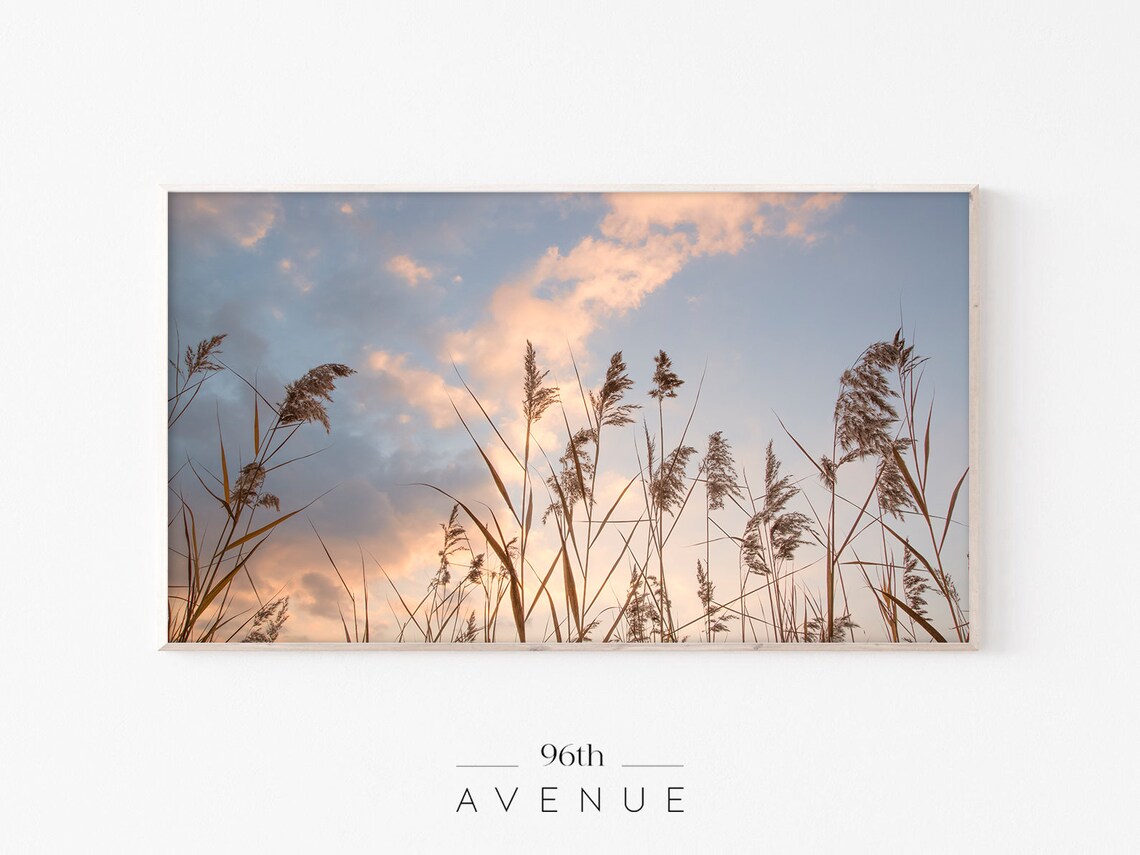 Pampas Grass Farmhouse TV Art, Rustic Wall Art Print