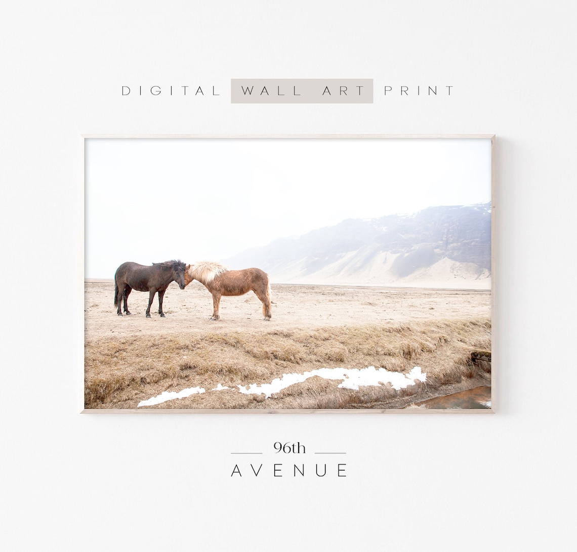 Horse Photography Farmhouse Decor, Highland Horses Art Print