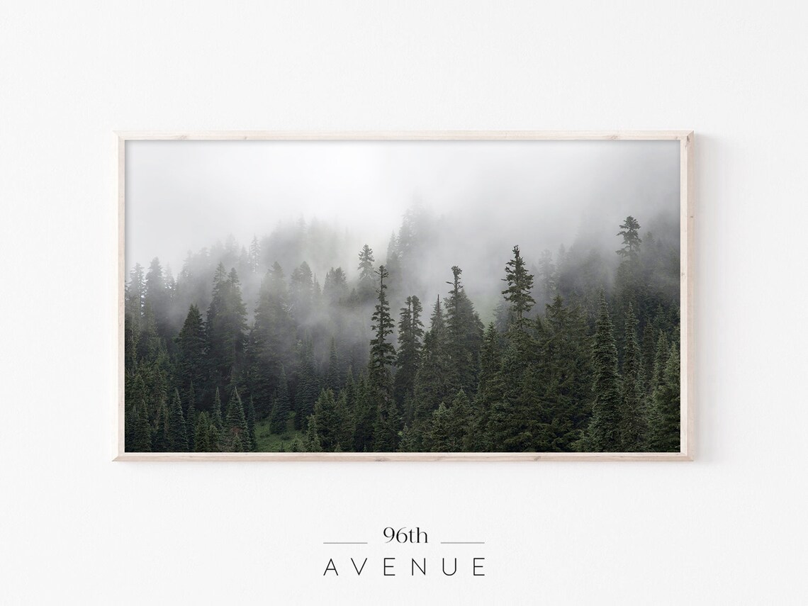 Moody Foggy Evergreen Forest in Thick Mist Nature Photo Poster