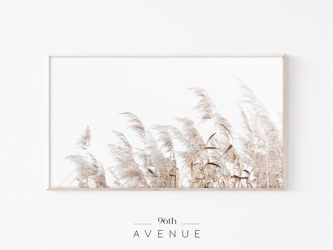 Tall Pampas Grass Against Bright White Sky Minimal Nature Poster