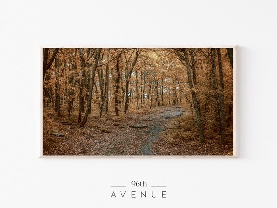 Sunlit Autumn Path Fallen Leaves Golden Forest Trail View Poster