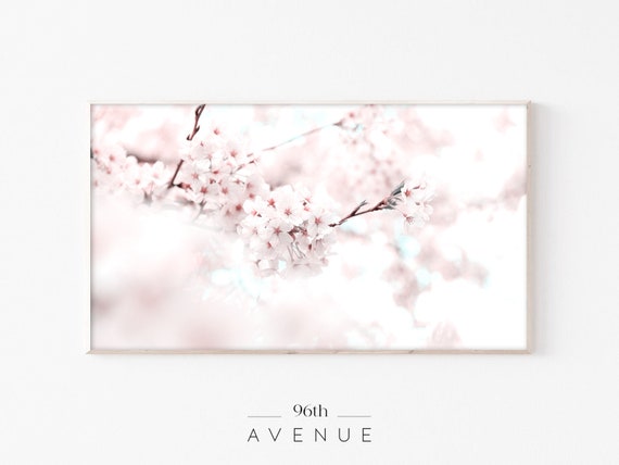 Cherry Blossom Art for TV Spring Art Print