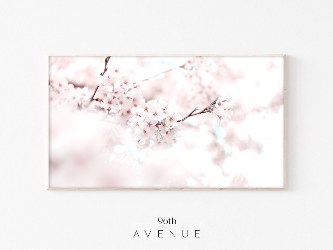 Cherry Blossom Art for TV Spring Art Print