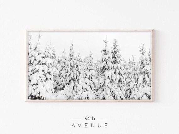 Snow Laden Evergreens White Winter Christmas Forest Photo Poster