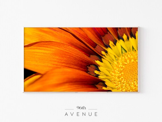 Orange Flower With Yellow Center Macro Closeup Photography Print