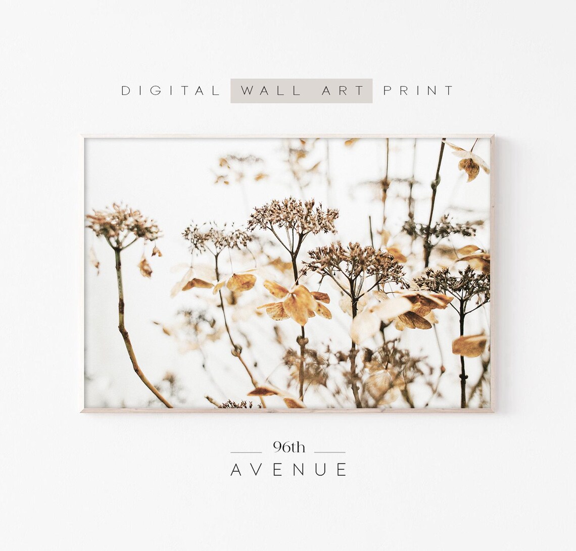 Dried Wildflowers Neutral Farmhouse Rustic Photography Poster