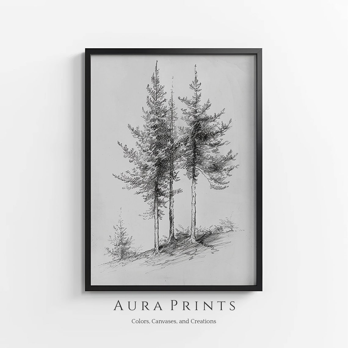 Vintage Pine Trees Pencil Sketch Mountain Forest Trio Drawing Poster