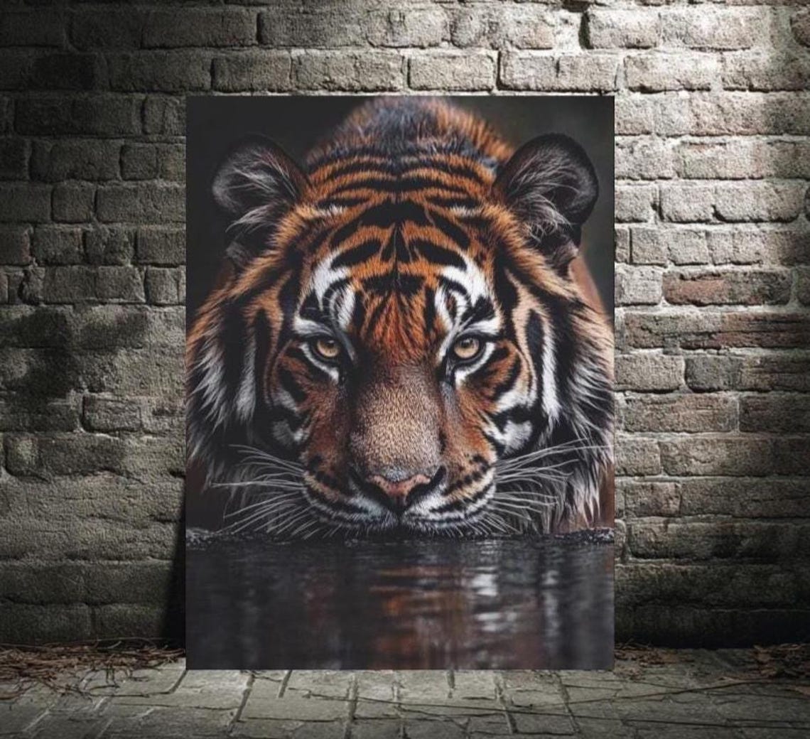 Fierce Tiger Drinking Water Close Up Intense Jungle Predator Wall Art