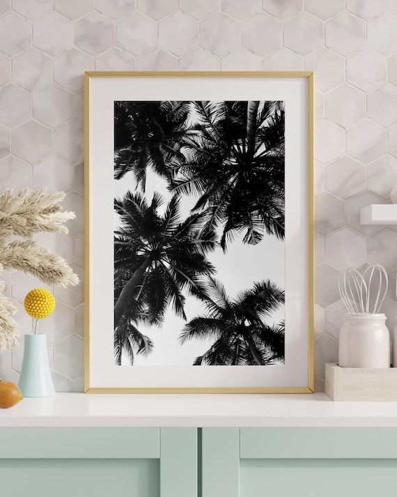 Monochrome Palm Tree Canopy Tropical Beach Photography Poster