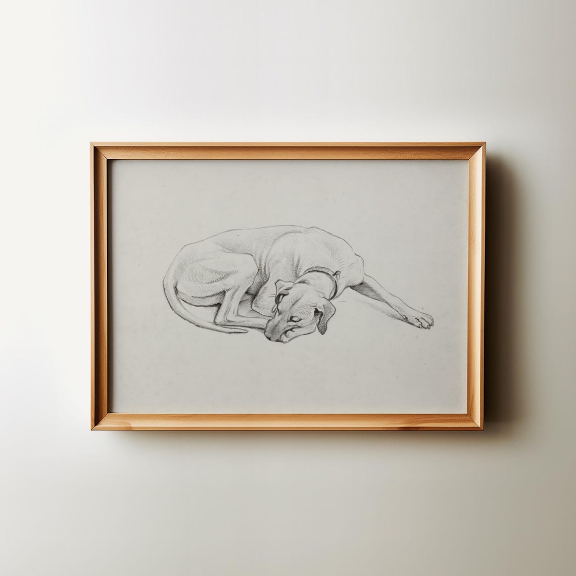 Sweet Vintage Sleeping Dog Delicate Pencil Sketch Portrait Poster - Image 3