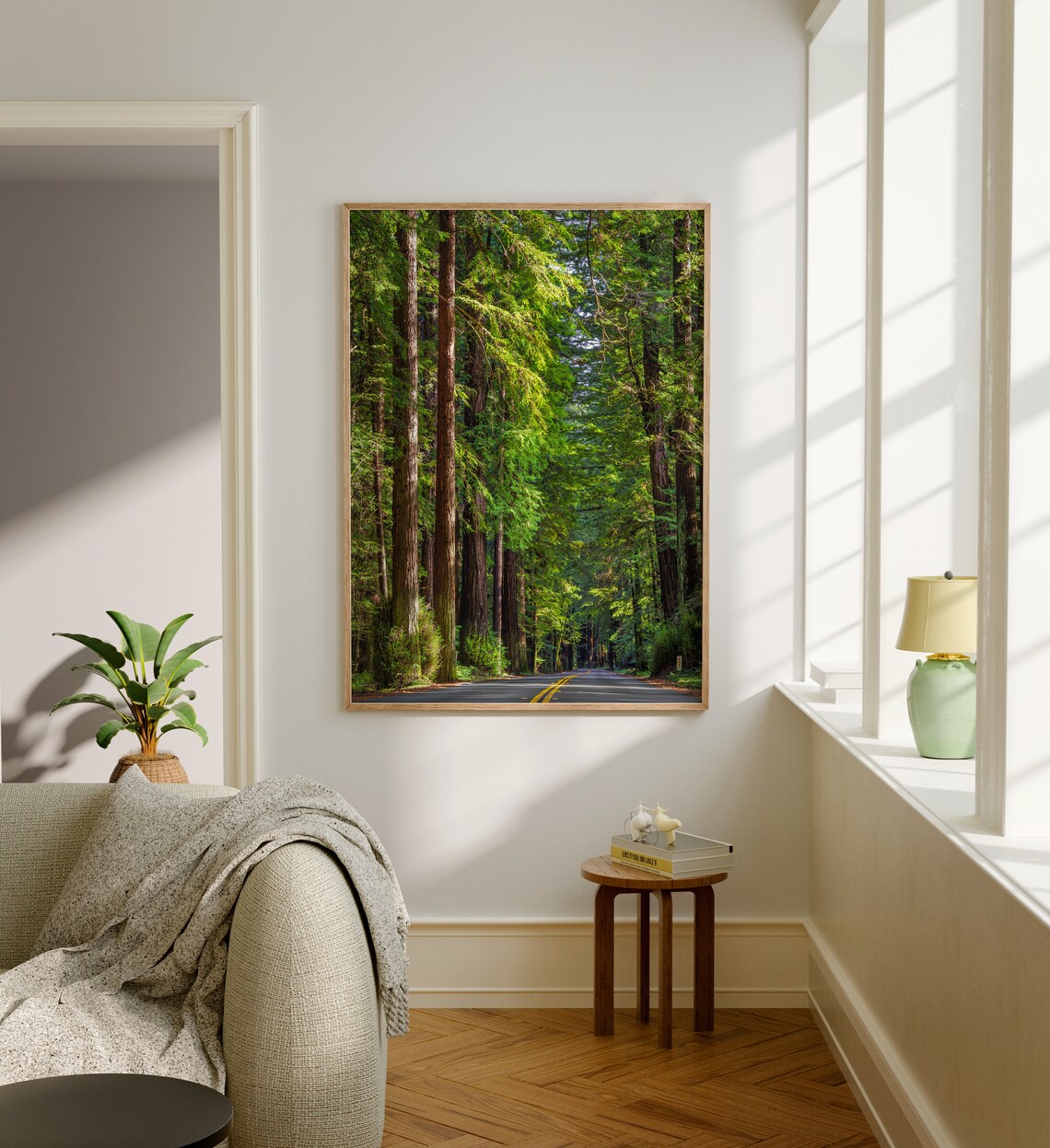 Redwoods Photo Print, California Travel Poster - Image 5