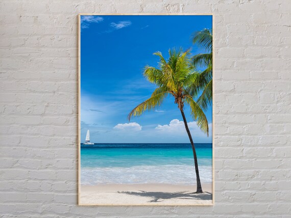 Key West Tropical Beach Palm Tree Sailboat Ocean View Photo Poster