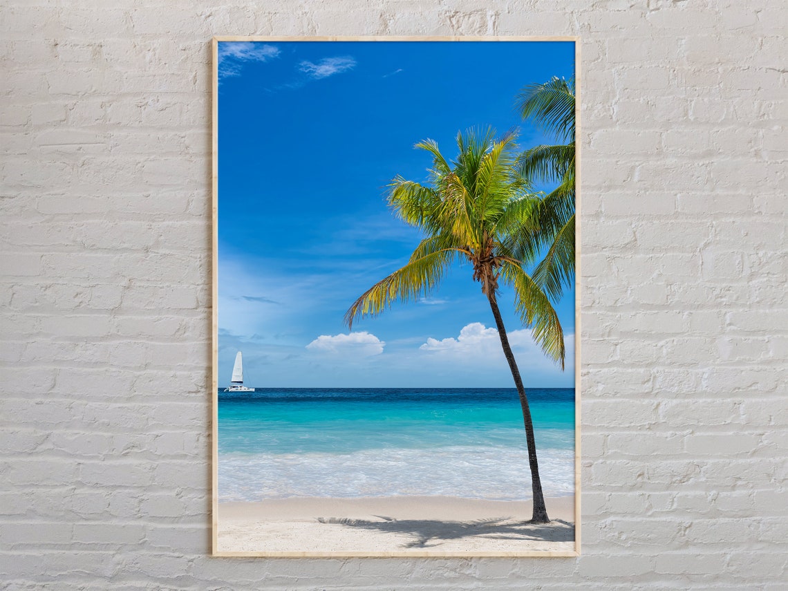 Key West Tropical Beach Palm Tree Sailboat Ocean View Photo Poster