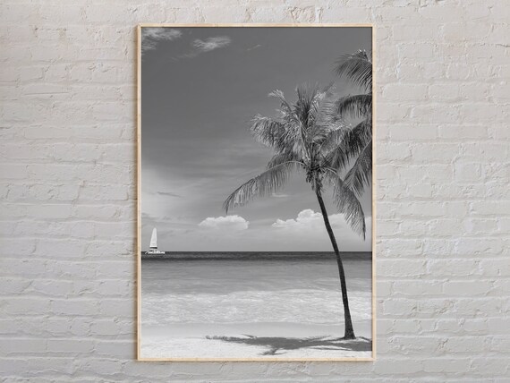 Key West Beach Palm Tree Sailboat Black And White Photo Poster