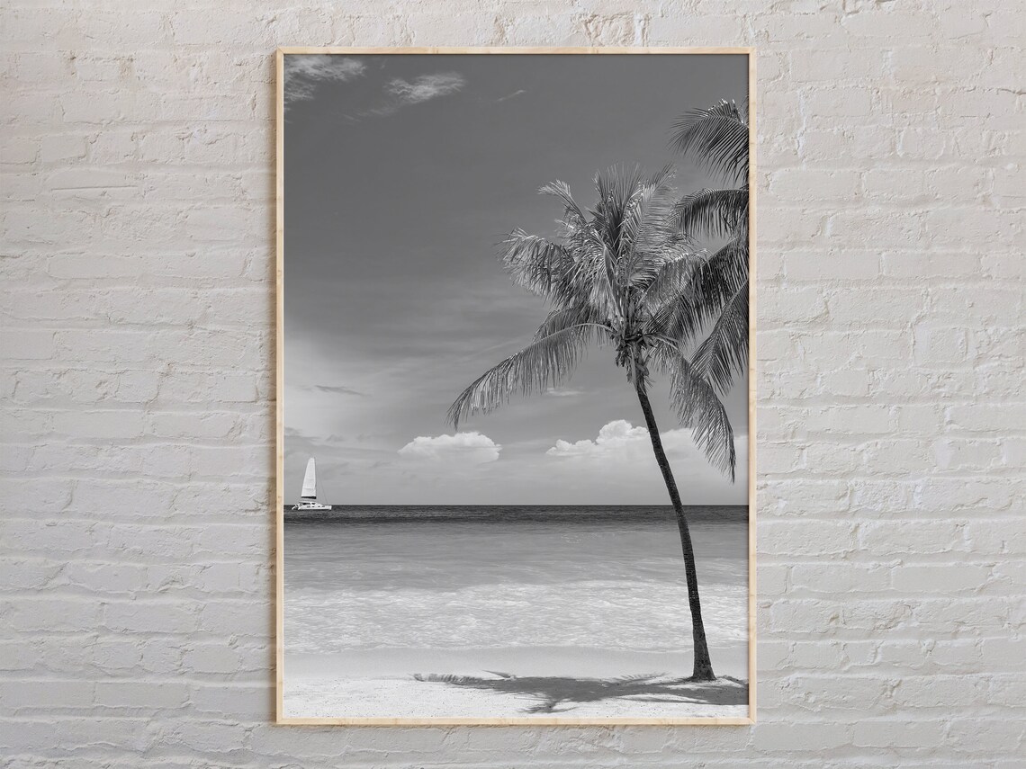 Key West Beach Palm Tree Sailboat Black And White Photo Poster