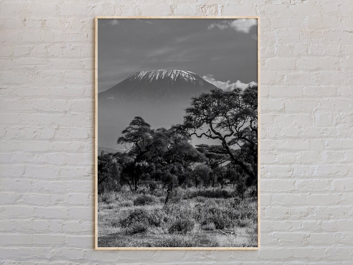 Mount Kilimanjaro Tanzania Black And White Safari Photo Poster