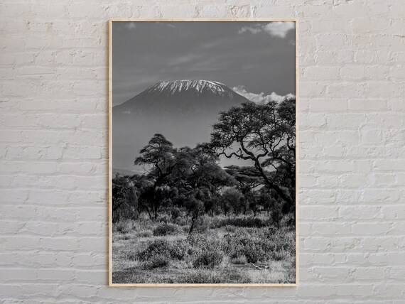Mount Kilimanjaro Tanzania Black And White Safari Photo Poster