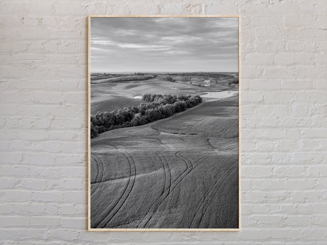 Missouri Farmland Aerial Black and White Rolling Fields Landscape Poster