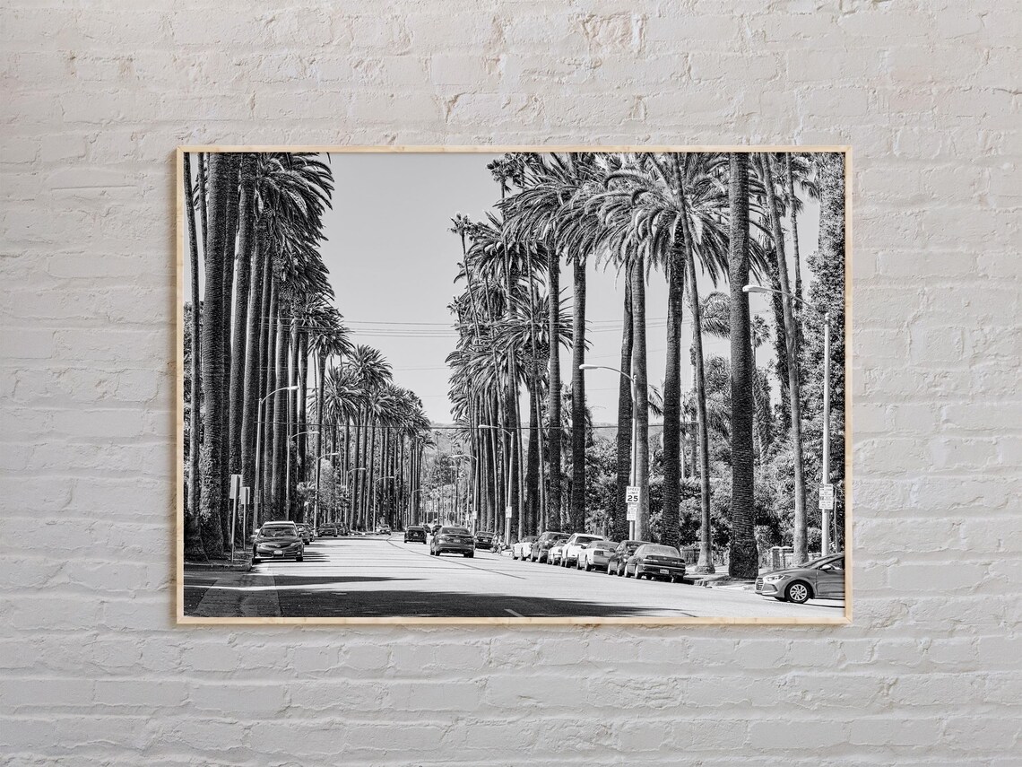 Black And White Palm Tree Lined Los Angeles Street Photo Poster