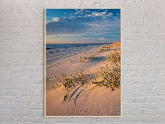 Beach Dunes with Sea Grass at Golden Sunset Coastal Photo Poster