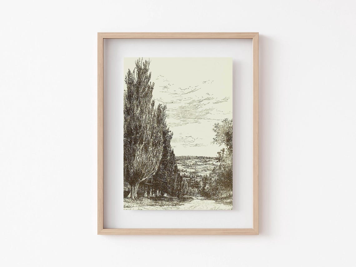 Vintage Sepia Poplar Trees Lane Landscape Rustic Engraving Poster - Image 3