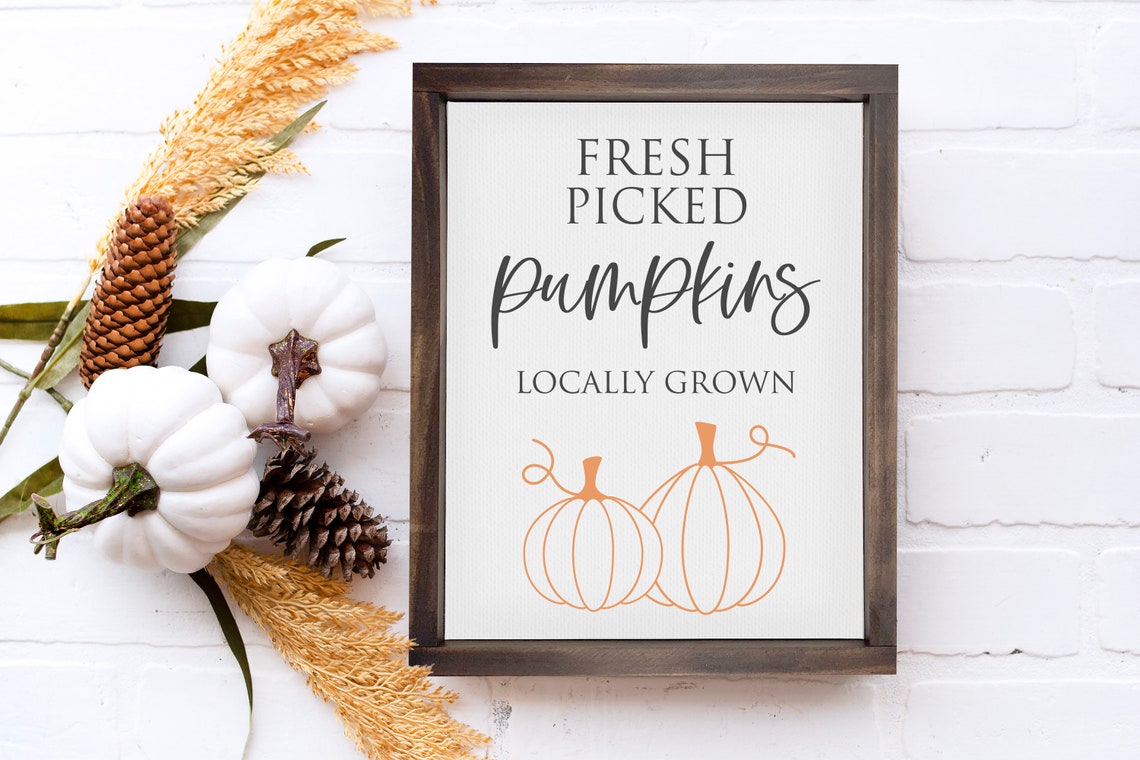 Fresh Picked Pumpkins Locally Grown Fall Kitchen Sign Wood Poster - Image 3