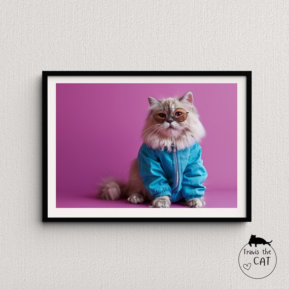Fluffy Cat in Blue Jacket and Amber Glasses on Magenta Pop Art Poster