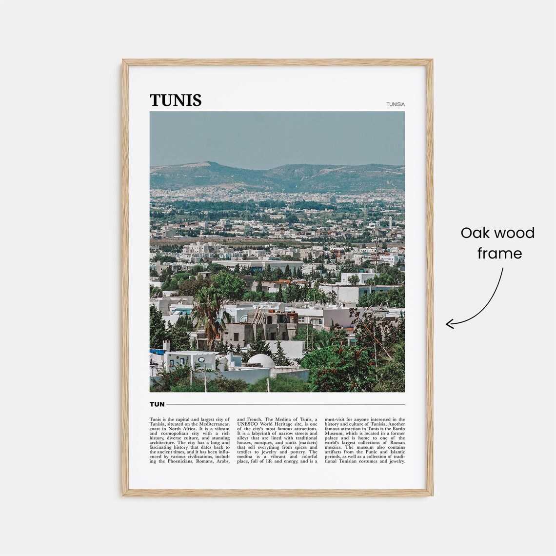 Tunis Tunisia White City Mediterranean Coastal Travel Poster - Image 3
