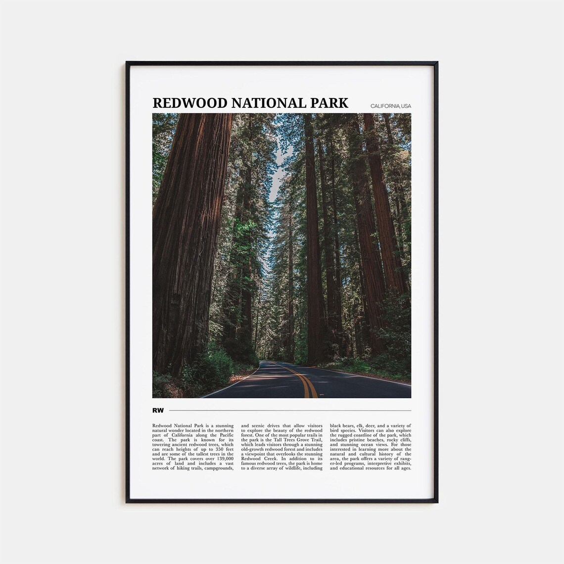 Redwood National Park Travel Poster, Park Wall Art