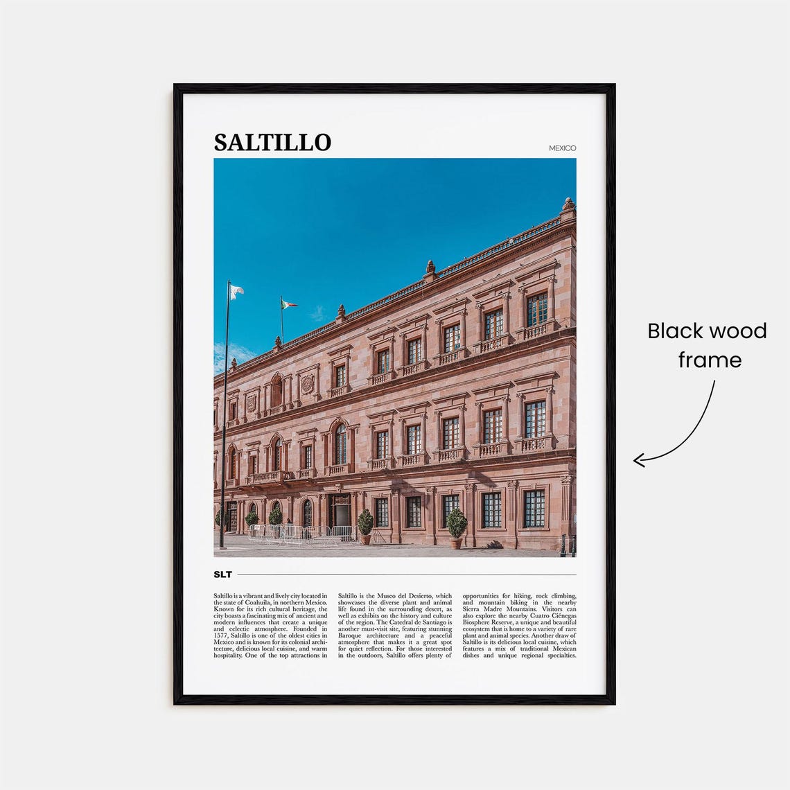 Saltillo Travel Poster Saltillo Wall Art Saltillo Poster Print Saltillo Photo Saltillo Decor Mexico - Image 2