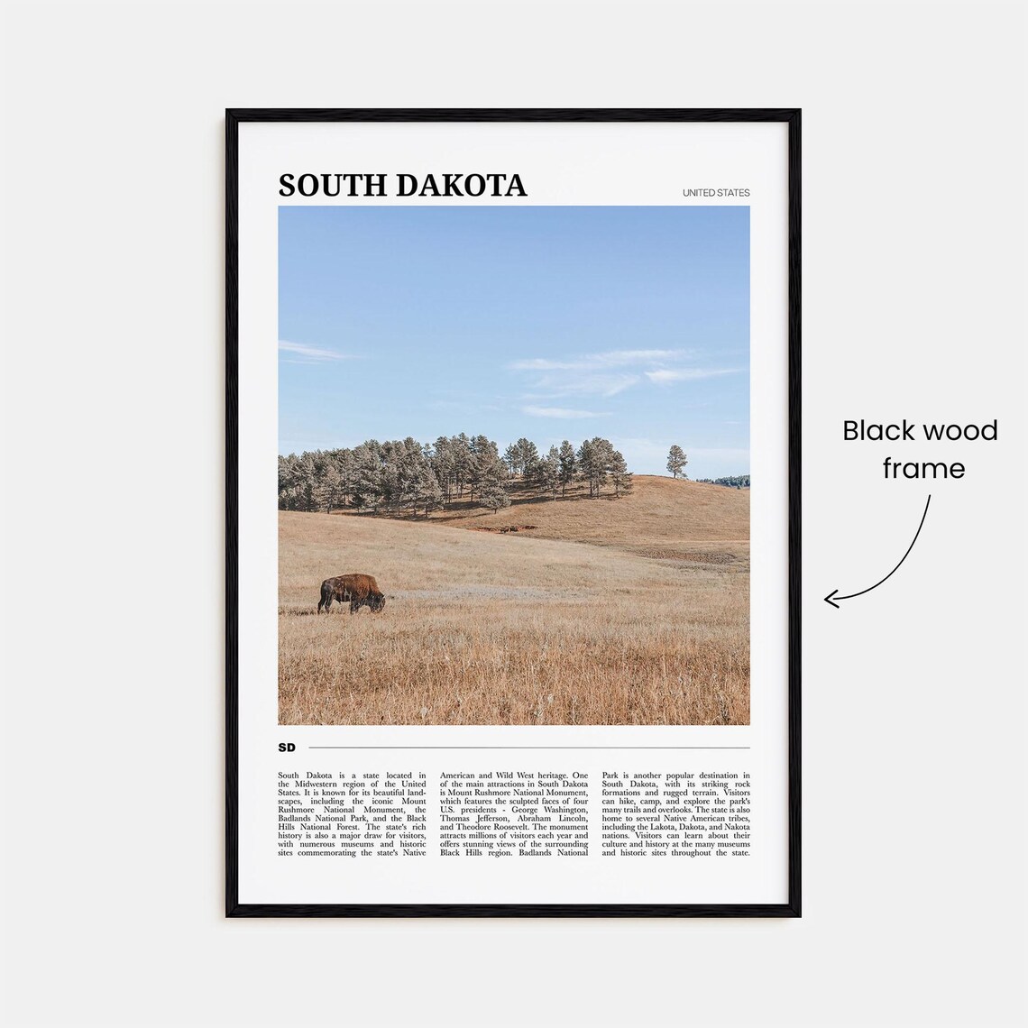 South Dakota Great Plains Bison Prairie Travel Poster Photo Art - Image 2