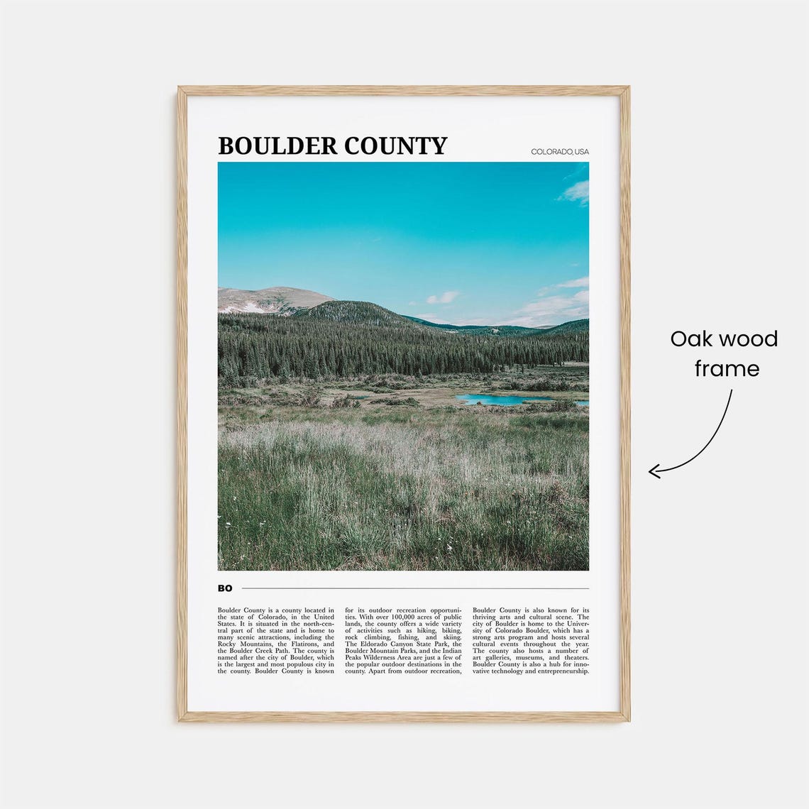Boulder County Colorado Mountain Meadow Wildflower View Poster - Image 3