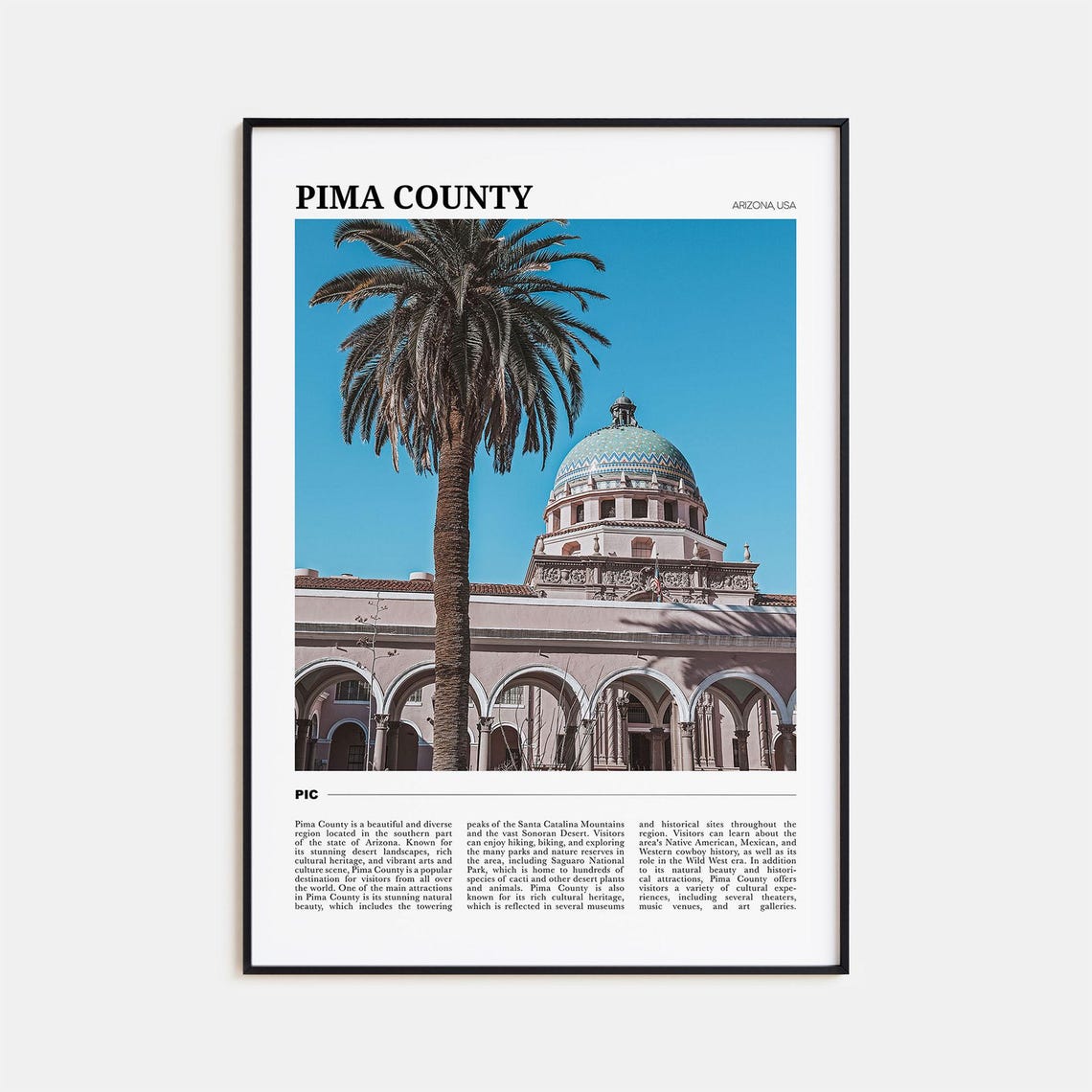 Pima County Arizona Historic Domed Courthouse with Palm Poster