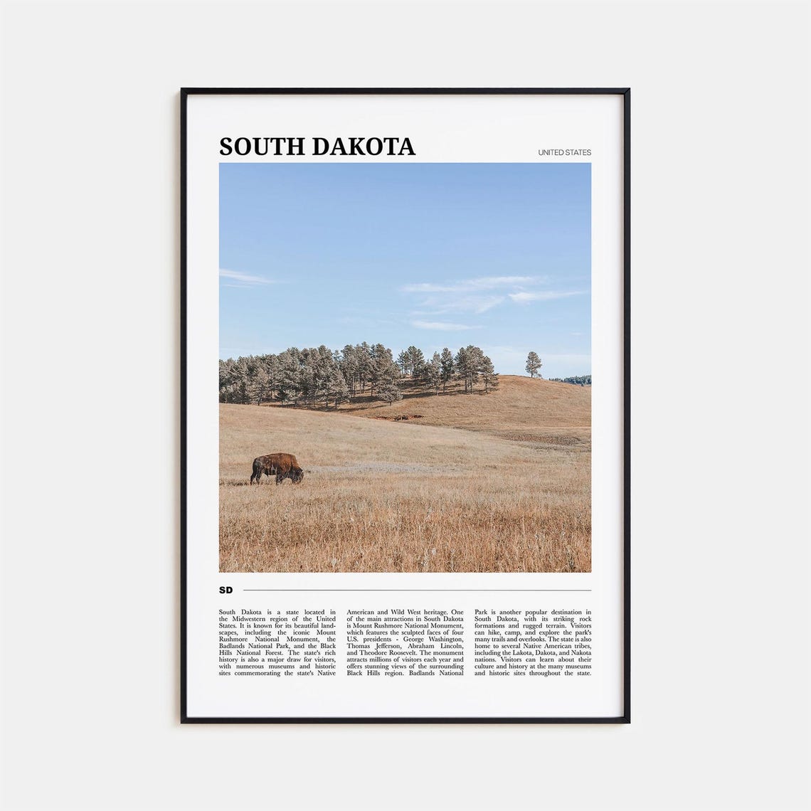 South Dakota Great Plains Bison Prairie Travel Poster Photo Art
