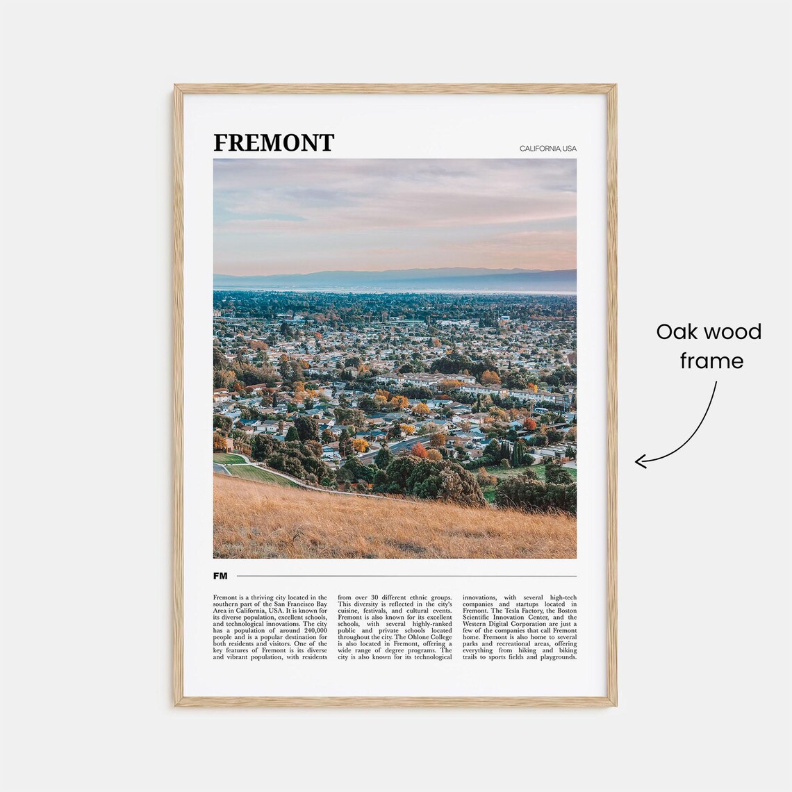 Fremont Travel Poster, California USA Travel Poster - Image 3