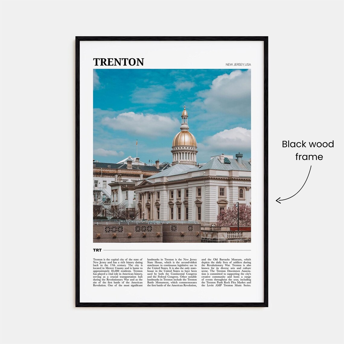 Trenton New Jersey USA State House Gold Dome Capital City Poster - Image 2